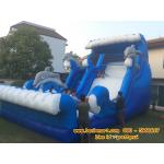 บ้านลมปลาโลมา 5x10 เมตร