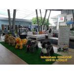 ตัวสัตว์หยอดเหรียญ