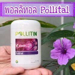 พอลลิทอล Pollital (สีม่วง)