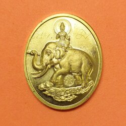 เหรียญ พ่อพลายเอกชัย หลวงปู่ธรรมมุนี รุ่นแรก มีจารด้านหน้า ศูนย์อนุรักษณ์ช้าง - สวนป่าพุทธสถานสุประดิษฐ์เมธี จ.มหาสารคาม จัดสร้างปี 2555 เนื้อทองฝาบาตร สูง 3.2 เซน พร้อมตลับเดิม