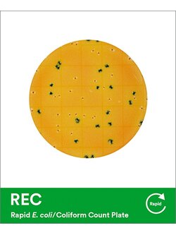 REC แผ่นอาหารเลี้ยงเชื้อสำเร็จรูปแบบรวดเร็วสำหรับ E. coli/Coliform 3M™ Petrifilm™