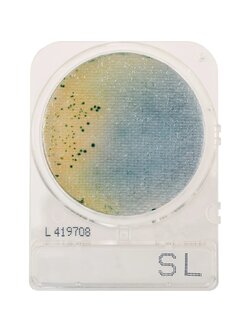 Compact Dry SL (สำหรับตรวจ Salmonella spp.)