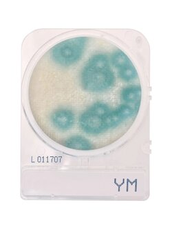 Compact Dry YM (สำหรับตรวจ Yeast และ Mold)