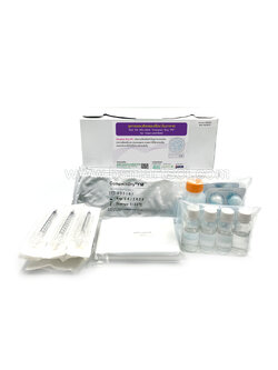 ชุดตรวจยีสต์และเชื้อราในอากาศ Compact Dry YM