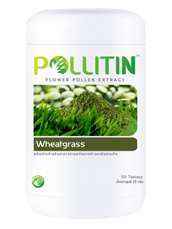 Wheatgrass (วีทกราส)