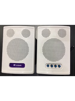 GYGAR Smart speaker GM300S
