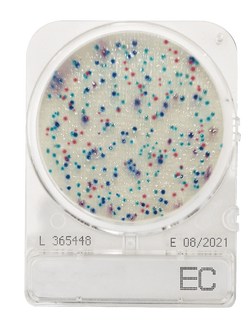 Compact Dry EC (สำหรับตรวจ E.coli และ Coliform)