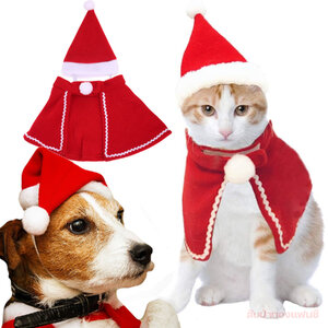 แฟนซีสัตว์เลี้ยง แฟชั่นหมาแมว