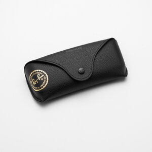 Ray-Ban Original Case (Brown)