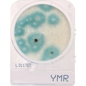 Compact Dry YMR (สำหรับตรวจ Yeast และ Mold (Rapid type))