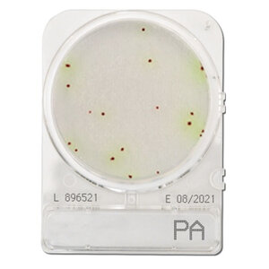 Compact Dry PA (สำหรับตรวจ Pseudomonas aeruginosa)