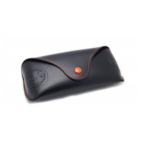 Ray-Ban Ferrari Collection Case