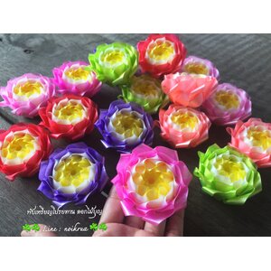 ดอกบัวสวรรค์คละสี