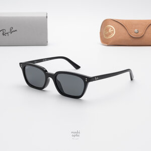 Ray-Ban Zaya RB4456F 667781 Black