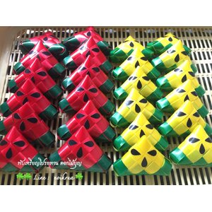 แตงโมเหรียญโปรยทาน