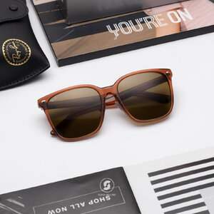 Ray Ban RB2206D 6636/73 Transparent Brown