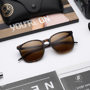Ray Ban RB4387F 902/73 Havana Brown