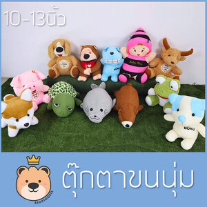 รุ่นงาน R (เน้นใหญ่ ถูก)