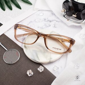 COACH HC6164U 5039 Brown