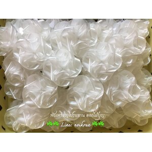 ดอกแพงพวยสีขาวเหรียญโปรยทาน