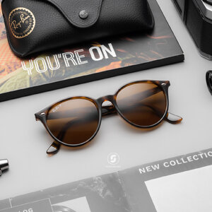 Ray-Ban Round RB4305F 710/83 Brown Polarized