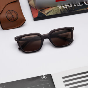 Ray-Ban RB4439D 623173 Opal Brown