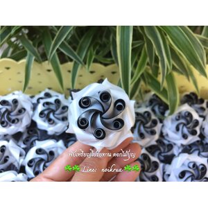 ดอกเนตรกนก สีขาวดำ