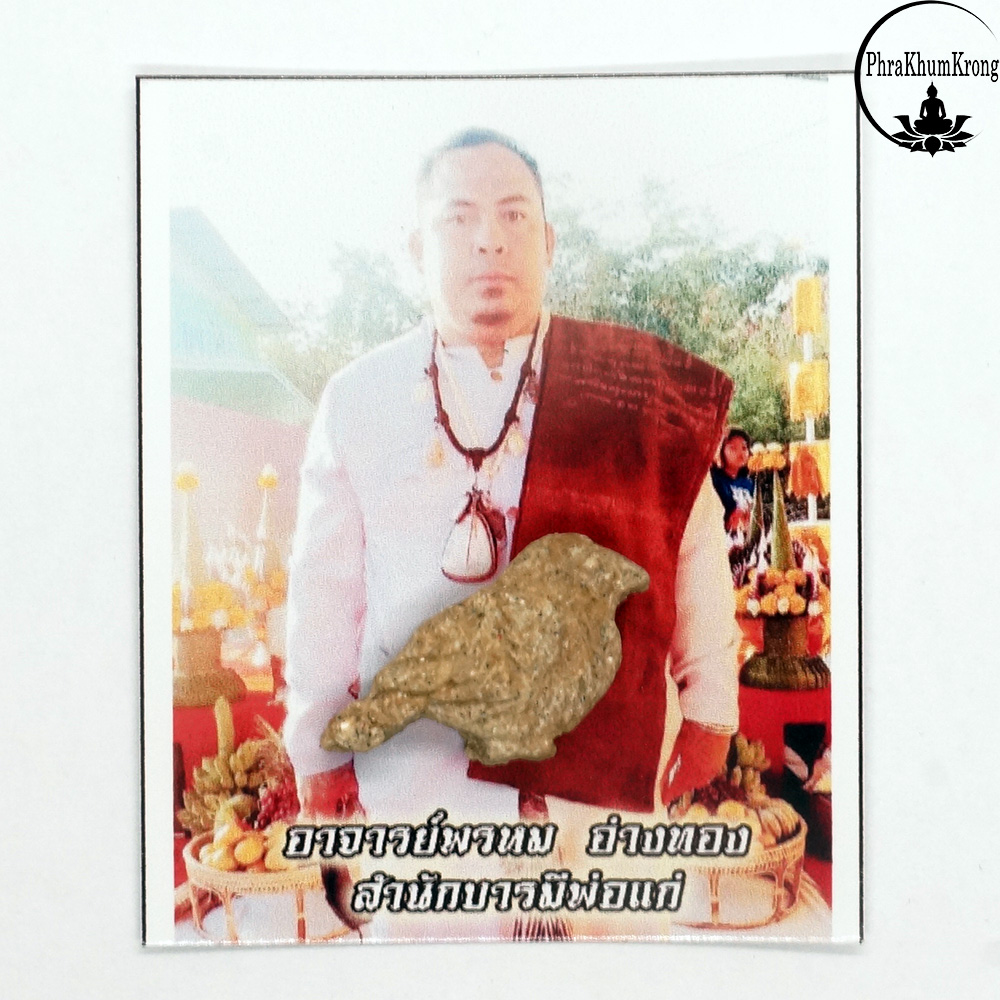 สาริกาลิ้นทอง อาจารย์พรหม อ่างทอง สำนักบารมีพ่อแก่ สีขาว