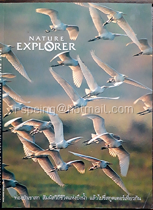 Nature Explorer Vol.6 / June 2000