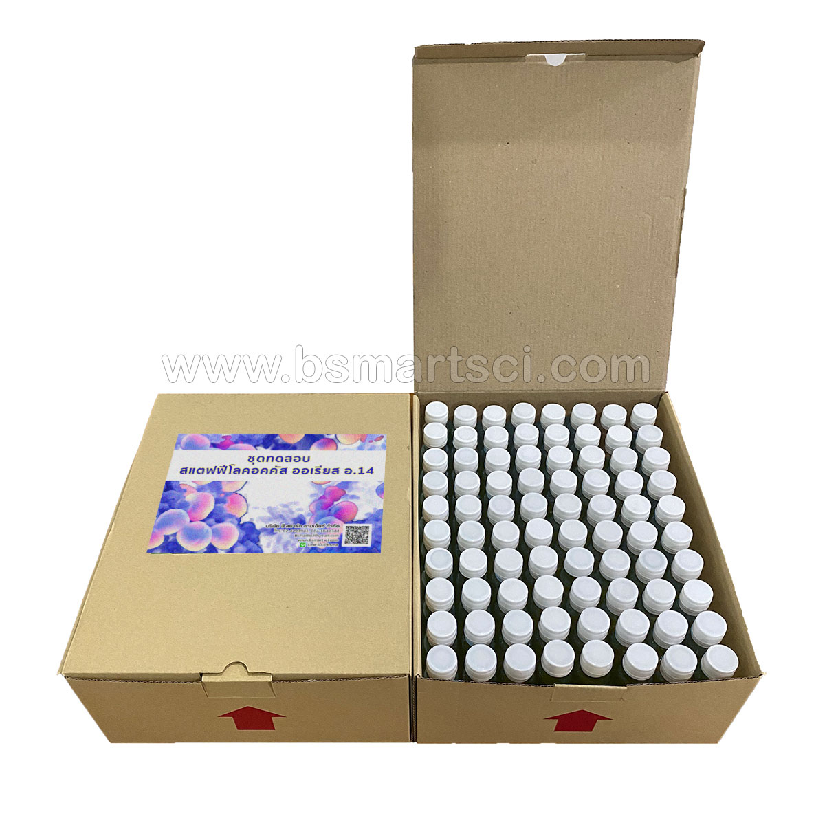 ชุดทดสอบสแตฟฟีโลคอคคัส ออเรียส อ.14