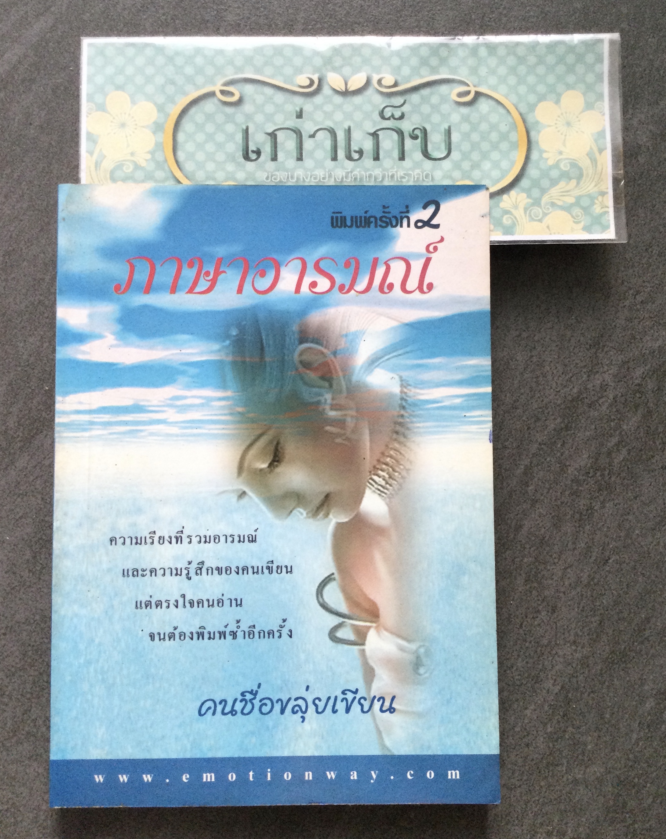 ภาษาอารมณ์ โดย คนชื่อขลุ่ยเขียน