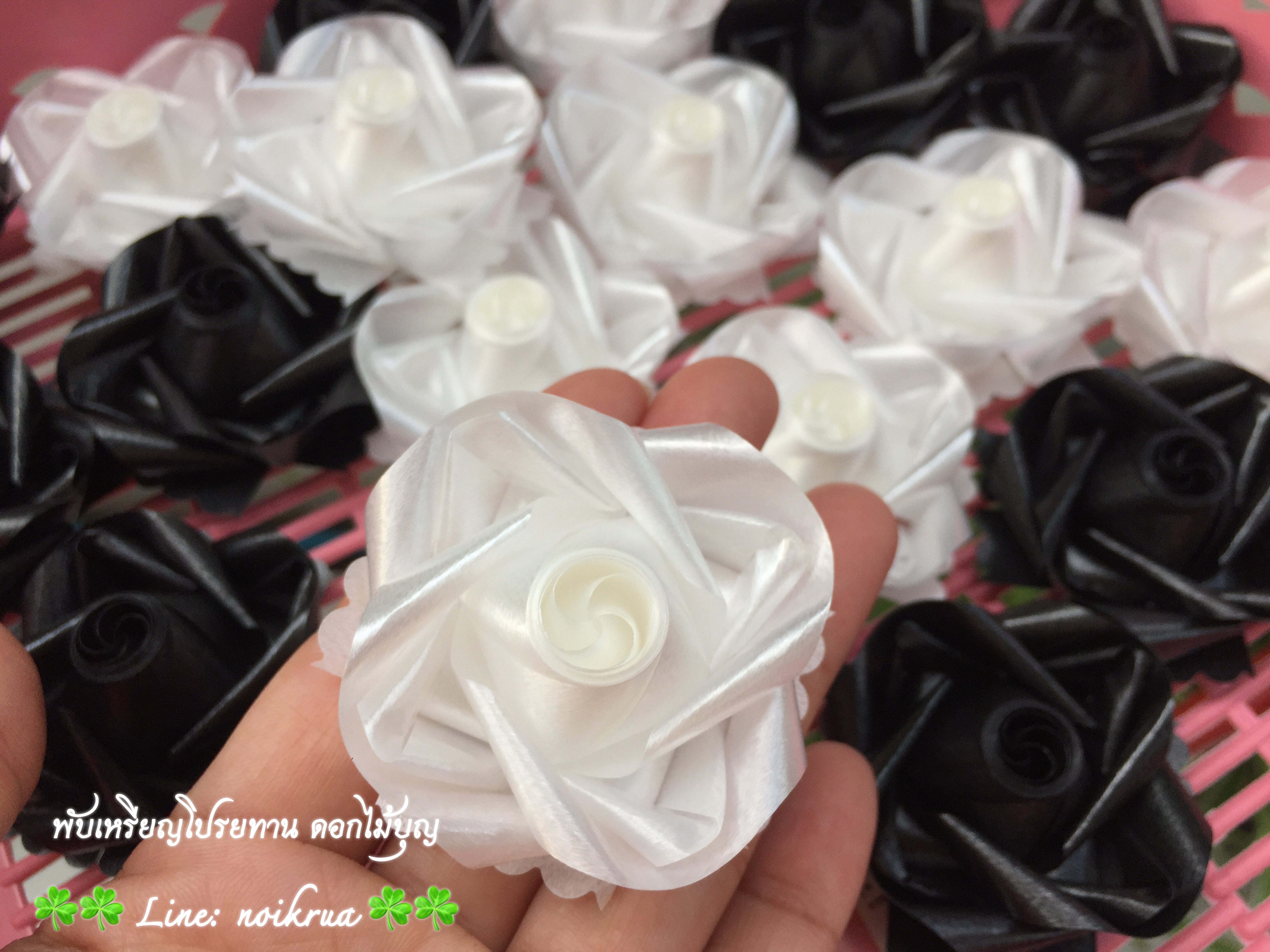 ดอกฟรีเซียสีขาวดำ เหรียญโปรยทาน