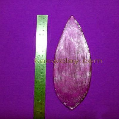 พิมพ์อัดลายใบทิวลิป (Veiners TULIP leaf)