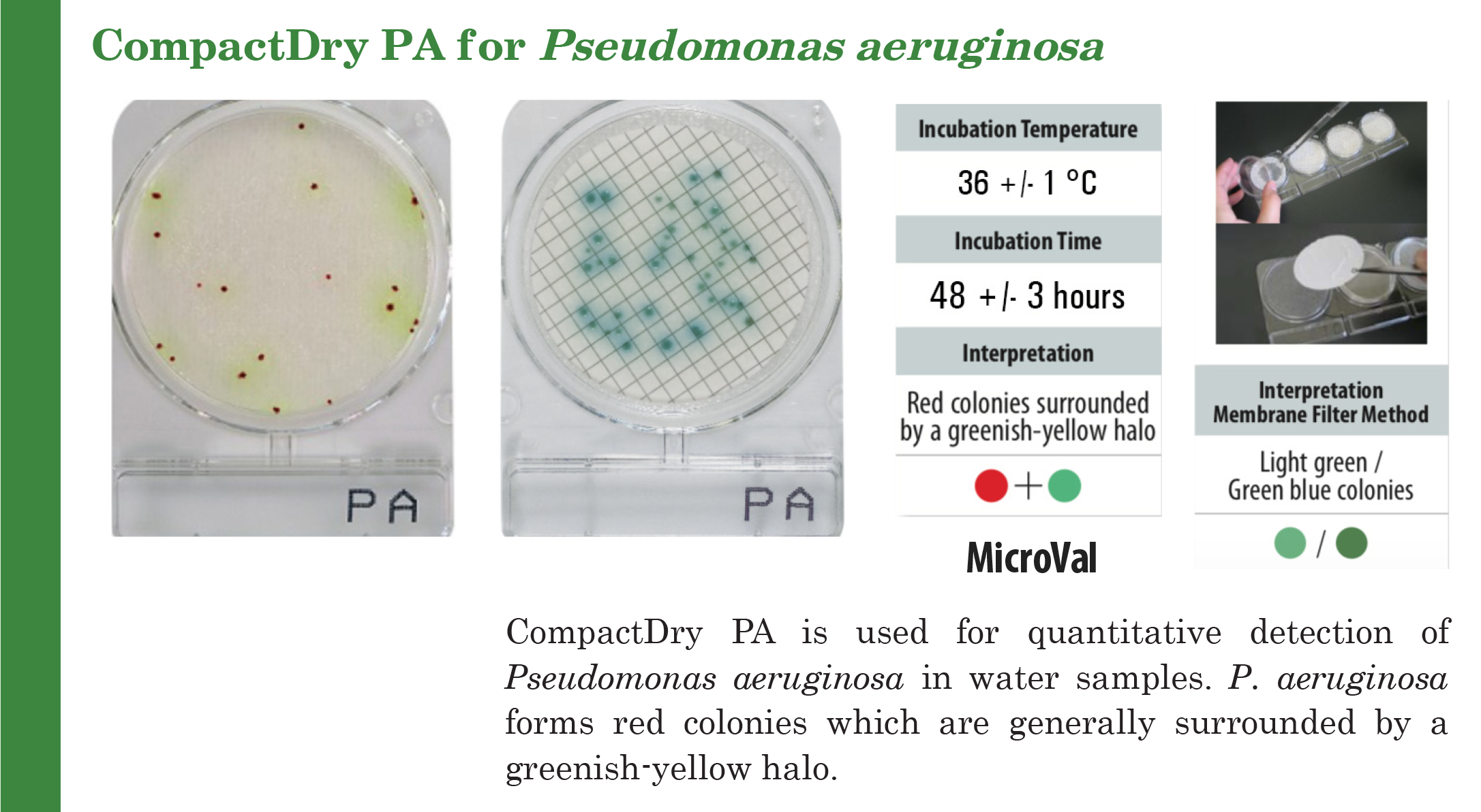 Compact Dry PA (สำหรับตรวจ Pseudomonas aeruginosa)