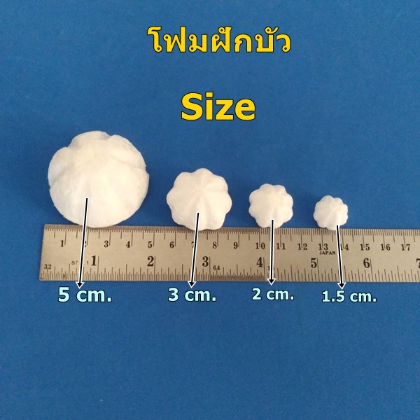 โฟมฝักบัว (Foam shower)