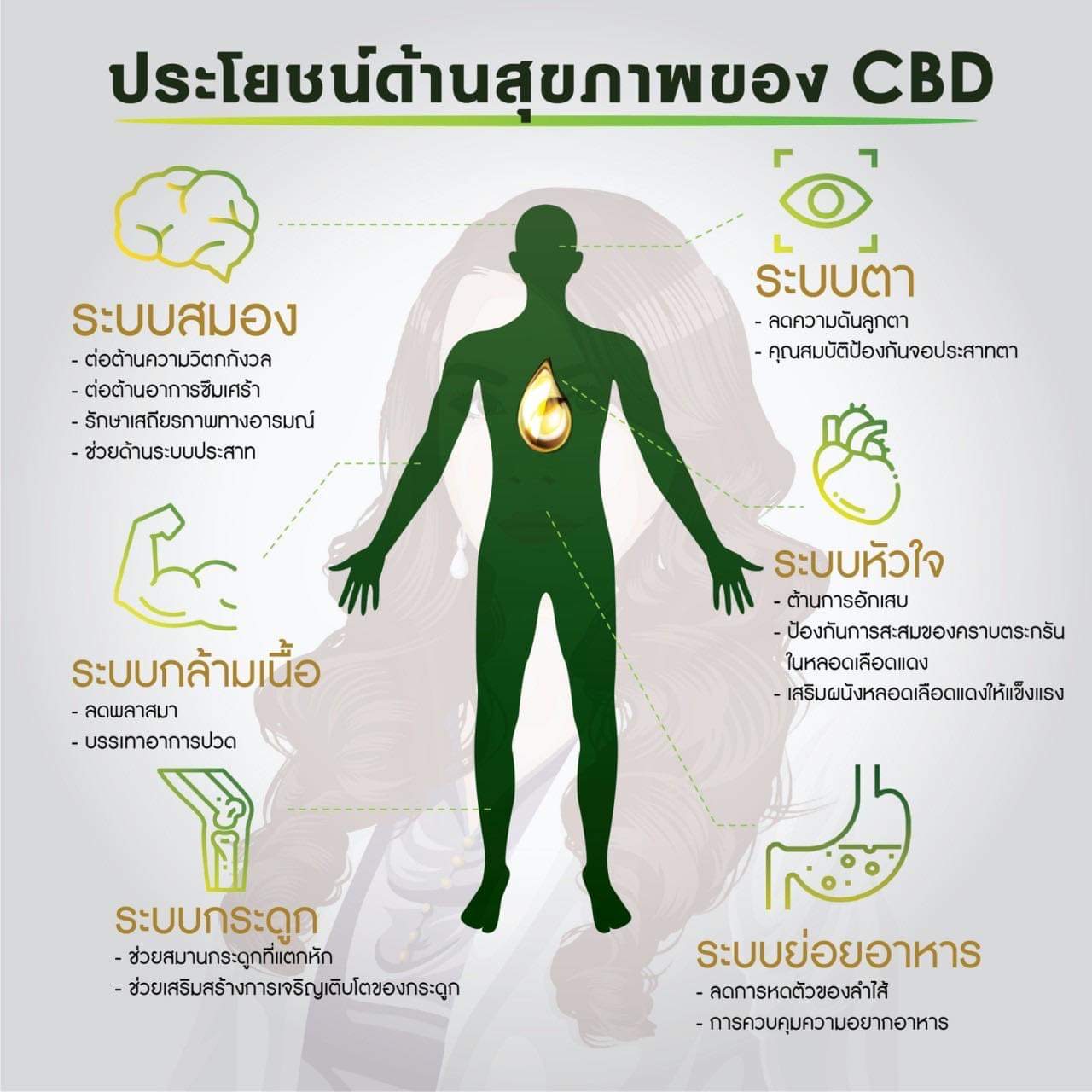 (พร้อมส่งในไทย) น้ำมันกัญชา Dr.Bliss 200 mg. 5ml.