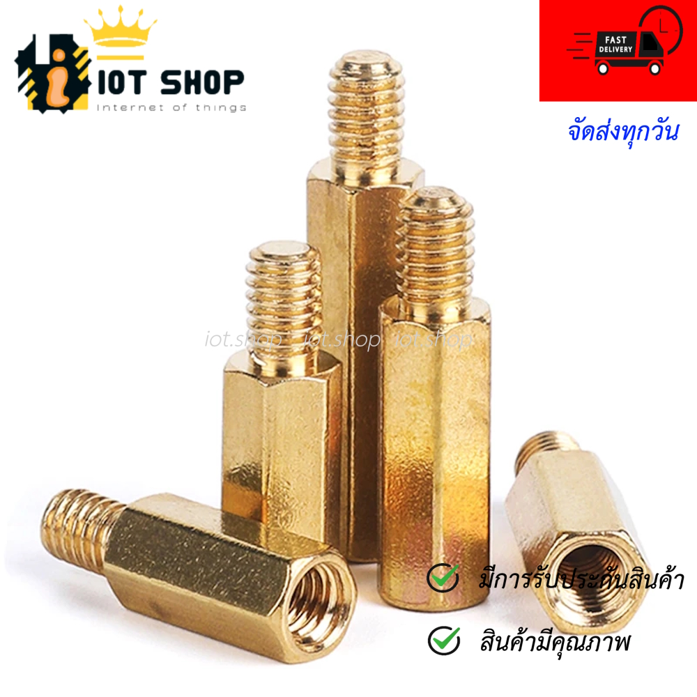 น็อตทองเหลือง M3 ชุดละ 10 ชิ้น