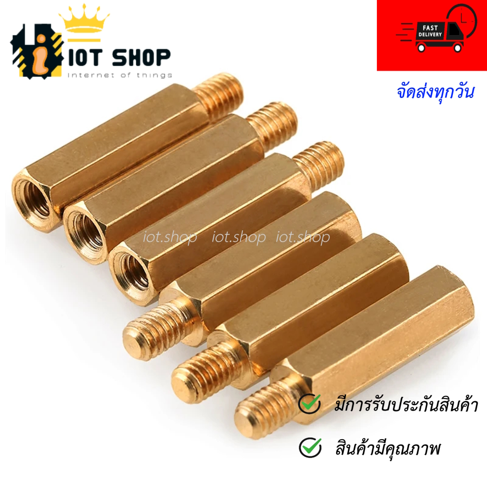 น็อตทองเหลือง M3 ชุดละ 10 ชิ้น