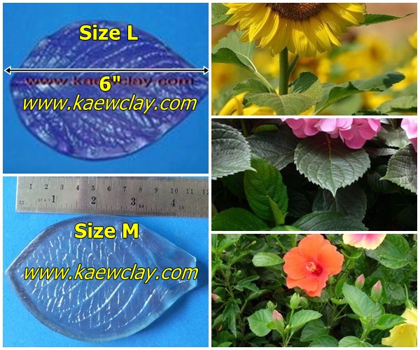 พิมพ์อัดลายใบทานตะวัน+ไฮเดรนเยีย (Veiners SUNFLOWER leaf)