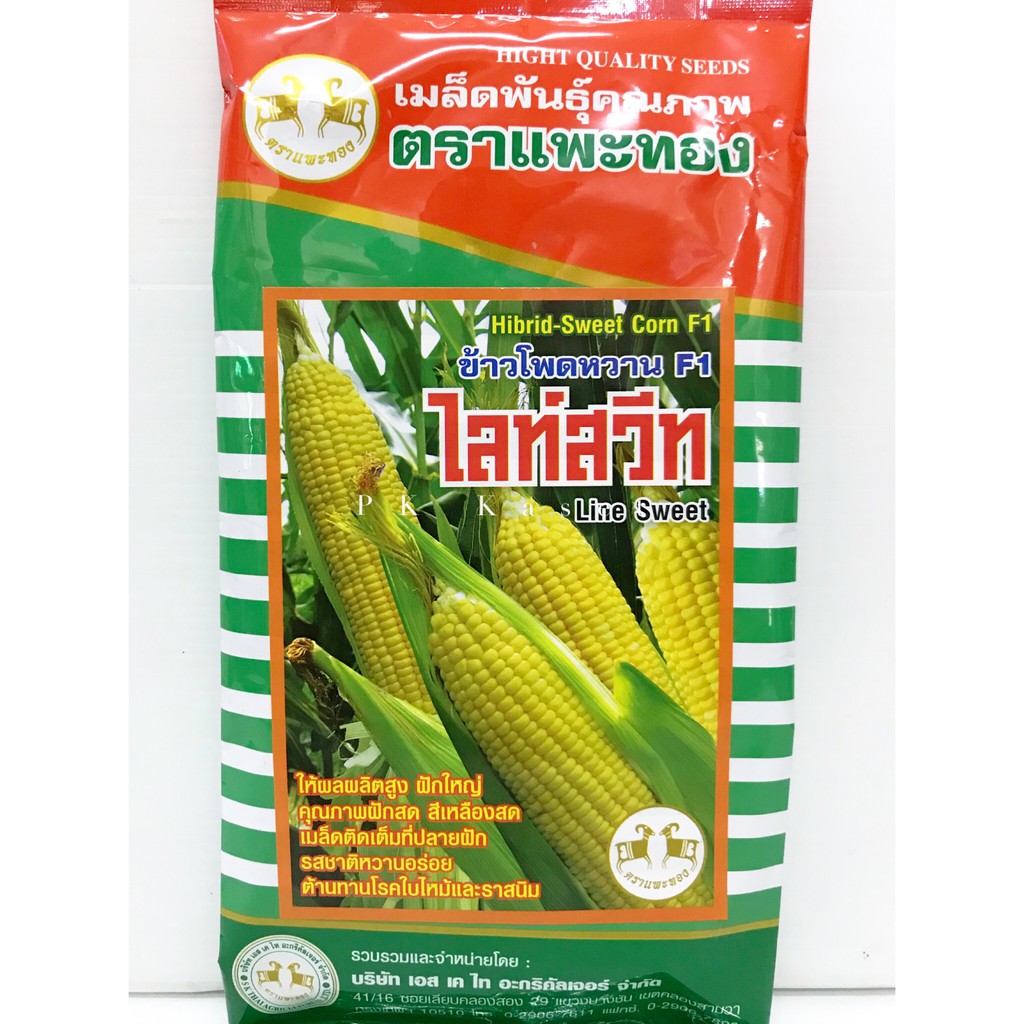 เมล็ดข้าวโพด หวาน 200g F1 ไลท์สวีท ตราแพะทอง เหลืองสด ฝักใหญ่ ต้านทานโรค และแมลง ราคาส่ง