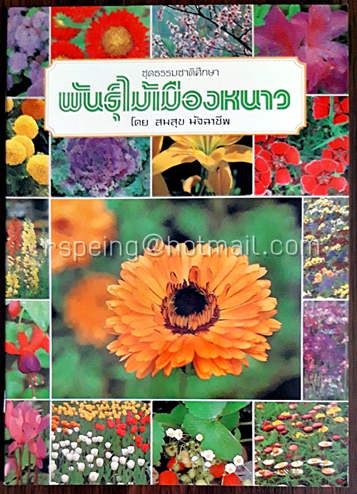 พันธุ์ไม้เมืองหนาว