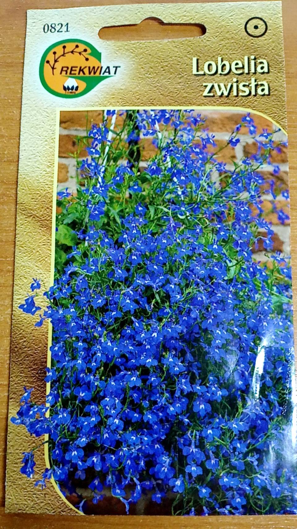 โลบีเลียเลื้อย-แซฟไฟร์ (Lobelia-Sapphire) สีน้ำเงิน/ม่วง / 6,400 เม็ด (Poland)*