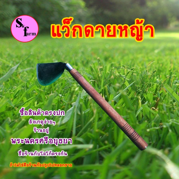 แว๊คดายหญ้า สำหรับนั่งดาย