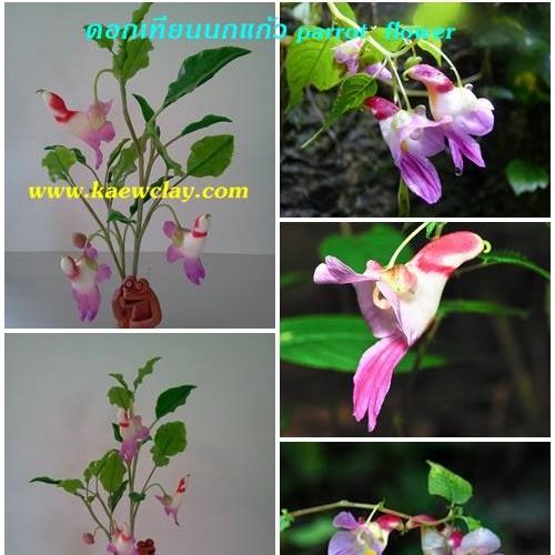 พิมพ์ตัดดอกเทียนนกแก้ว ( Aluminum mold cutter parrot flower )