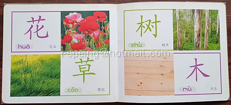 หนังสือชุดเรียนรู้ภาษาจีนสำหรับเด็กวัย 0-3 ปี เล่ม 2 小婴孩识字 (中)