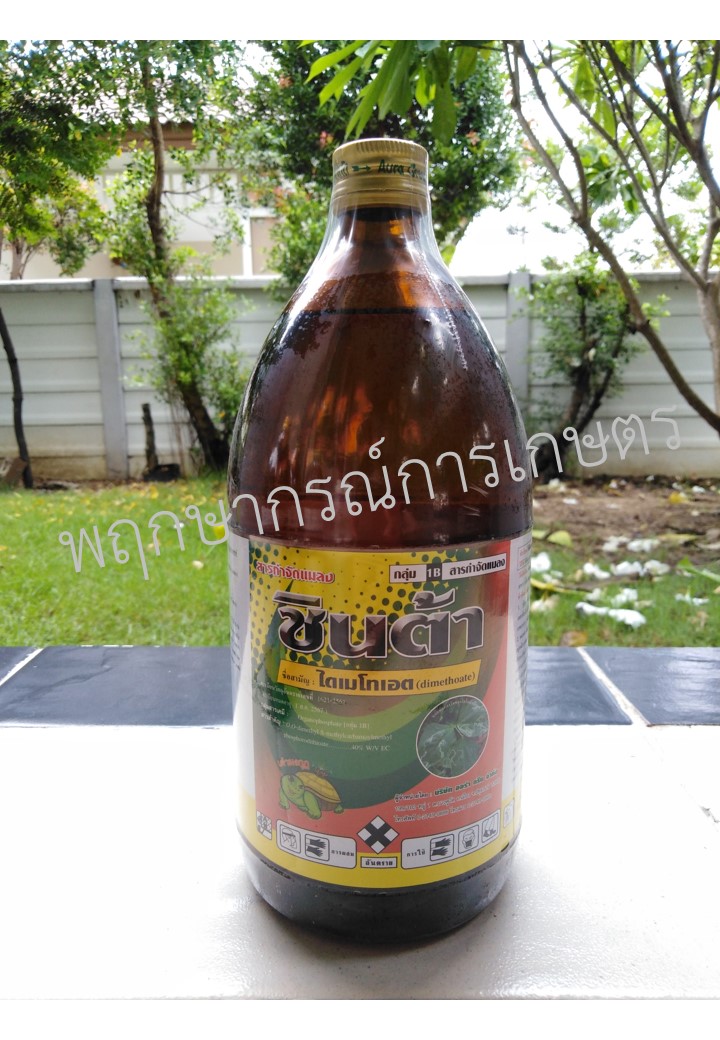 ชินต้า