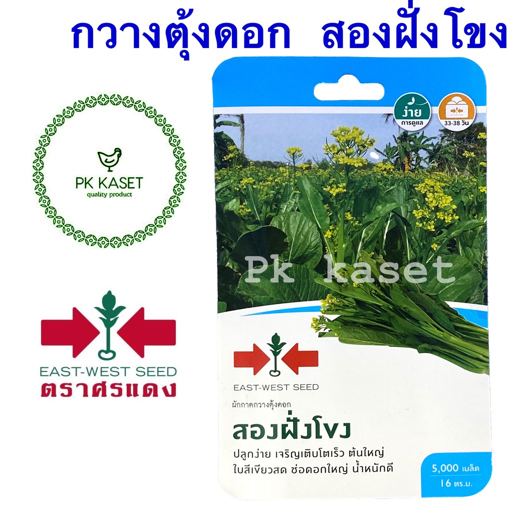 เมล็ดกวางตุ้ง สองฝั่งโขง ตราศรแดง ซองแข็ง 5,000 เมล็ด ผักสวนครัว