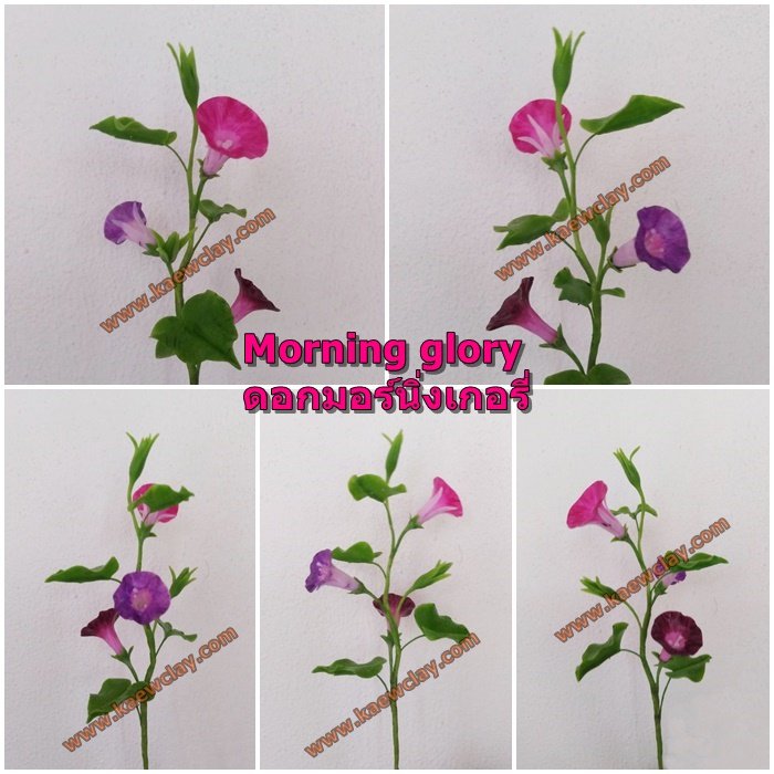 พิมพ์ตัดดอก + ใบมอร์นิ่งเกอรี่ ( Aluminum Mold cutter Morning glory flower )