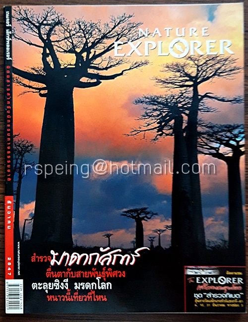 Nature Explorer Vol.60 / December 2004