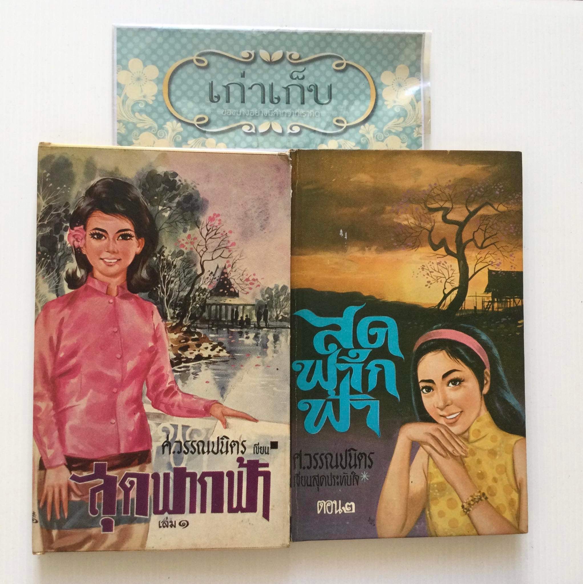 สุดขอบฟ้า โดย ศ.วรรณปนิตร